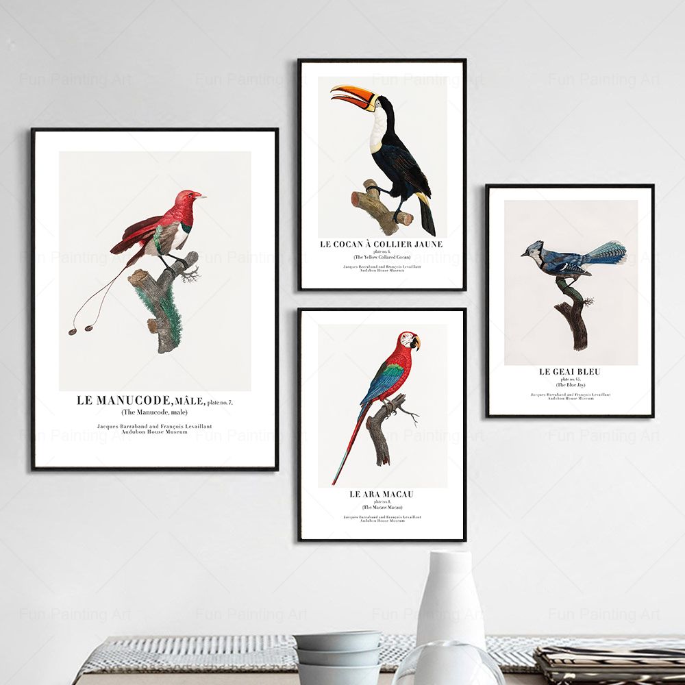 Vintage Paradise Bird Wall Art - огляд і ціна Furniture Paradise & Hardware Ghaziabad By Owner