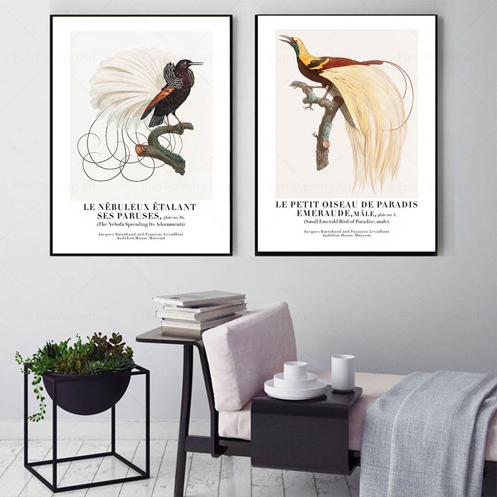 Vintage Paradise Bird Wall Art - огляд і ціна Furniture Paradise & Hardware Ghaziabad By Owner
